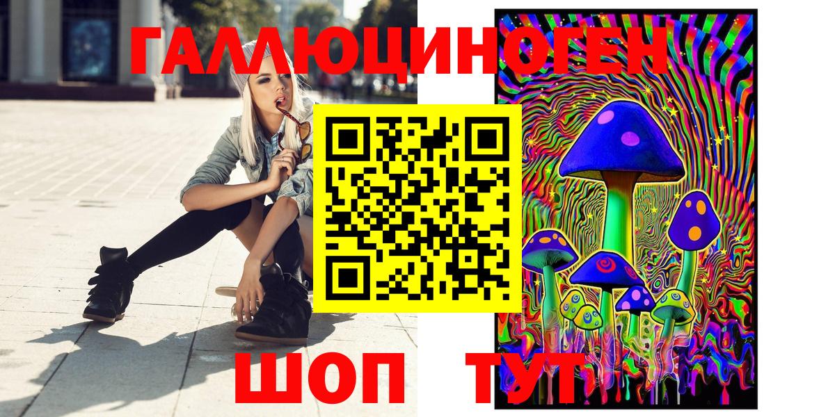 где купить   Галлюциногенные грибы мицелий  Вход с VPN  Норильск 